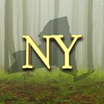 New York German Regiments in the American Civil War