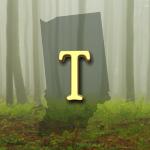 32nd Indiana Infantry Regimental Roster: T