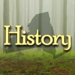 45th New York Regiment Infantry